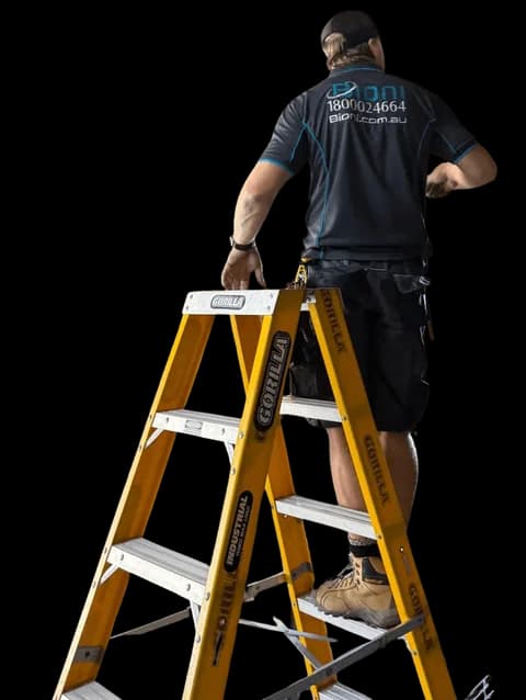 Bioni technician on a ladder
